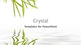  Presentation with water bamboo - Slides enhanced with bamboo leaf grass with reflection in rippled grey water over white background background and a white colored foreground