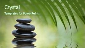  Presentation with bamboo - Cool new presentation with bamboo leaves over zen stones backdrop and a tawny brown colored foreground