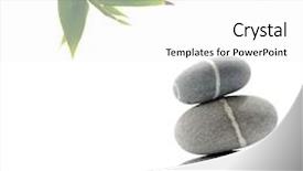  Presentation with zen stone - PPT theme consisting of bamboo leaves with zen stone background and a white colored foreground