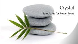  Presentation with zen stone - Colorful PPT theme enhanced with bamboo leaves with zen stone backdrop and a white colored foreground