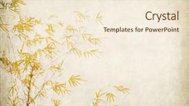  Presentation with antique paper texture - Slide deck enhanced with bamboo on old grunge antique background and a cream colored foreground