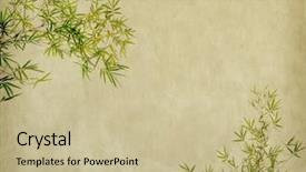  Presentation with lucky bamboo - Cool new slides with bamboo on old grunge antique backdrop and a soft green colored foreground