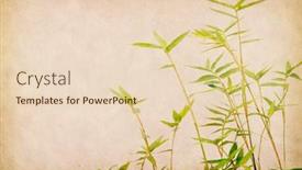  Presentation with bamboo paper - Beautiful PPT layouts featuring bamboo-on-old-grunge-paper backdrop and a lemonade colored foreground