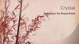  Presentation with bamboo paper - Colorful slides enhanced with bamboo-on-old-grunge-paper backdrop and a lemonade colored foreground