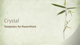  Presentation with bamboo paper - Amazing theme having bamboo-on-old-paper-background backdrop and a sky blue colored foreground