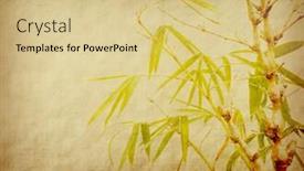  Presentation with bamboo paper - PPT layouts consisting of bamboo-on-old-paper-background background and a lemonade colored foreground