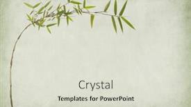  Presentation with bamboo paper - Theme with bamboo-on-old-paper-background background and a lemonade colored foreground