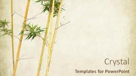  Presentation with bamboo paper - PPT theme with bamboo-on-old-paper-background background and a cream colored foreground