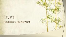  Presentation with bamboo paper - Amazing slides having bamboo-on-old-paper-background backdrop and a cream colored foreground