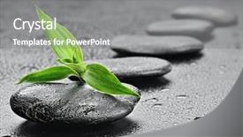  Presentation with zen stones - Presentation theme with bamboo on the black background and a gray colored foreground