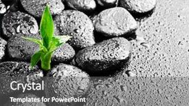  Presentation with zen stones - Cool new PPT theme with bamboo on the black backdrop and a gray colored foreground