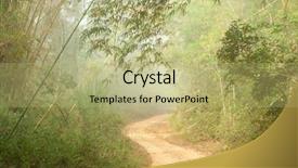  Presentation with january - Presentation design enhanced with bamboo plant - misty morning ground road background and a mint green colored foreground