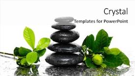  Presentation with spa stones leaves - Presentation theme featuring bamboo plant - spa wet background with gardenia background and a white colored foreground