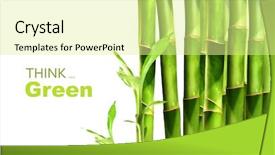  Presentation with bamboo - Theme consisting of bamboo shoots on white background and a blonde colored foreground