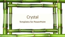  Presentation with lucky bamboo - Cool new presentation theme with bamboo stems frame border backdrop and a cream colored foreground