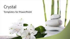  Presentation with bamboo - Audience pleasing slide set consisting of bamboo sticks isolated on white backdrop and a white colored foreground