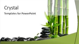  Presentation with spa espiritual - Presentation having bamboo tree - spa frame background and a white colored foreground