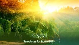  Presentation with thailand - Colorful presentation theme enhanced with river flowing - sunset in jungle of thailand backdrop and a blonde colored foreground