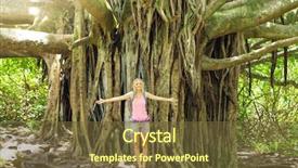  Presentation with banyan tree - Colorful PPT theme enhanced with bamyan - attractive young woman having fun backdrop and a tawny brown colored foreground