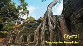  Presentation with banyan tree - Amazing slides having bamyan - old banyan tree growing backdrop and a tawny brown colored foreground
