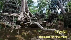  Presentation with banyan tree - Cool new slide deck with bamyan - temple ruins of ta prohm backdrop and a tawny brown colored foreground