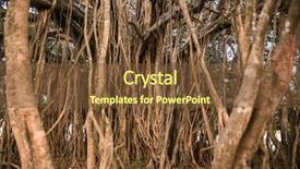  Presentation with banyan tree - Cool new presentation theme with bamyan - tree of life amazing banyan backdrop and a tawny brown colored foreground