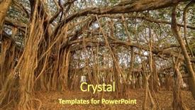  Presentation with banyan tree - PPT theme consisting of bamyan - tree of life amazing banyan background and a tawny brown colored foreground