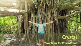  Presentation with banyan tree - Theme enhanced with summer day young beautiful bride and groom walking along walking outside wedding background and a gray colored foreground