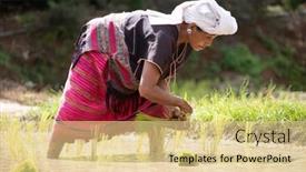  Presentation with chiang mai - 