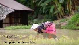  Presentation with mai - 