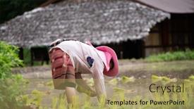  Presentation with chiang mai - 