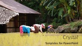  Presentation with mai - 