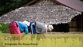  Presentation with mai - 