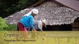  Presentation with chiang mai - 