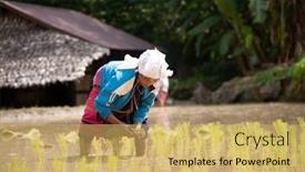  Presentation with chiang mai - 