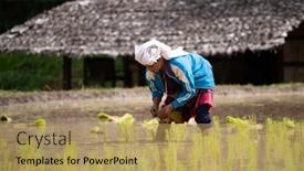  Presentation with mai - 