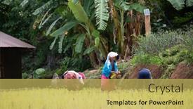  Presentation with mai - 