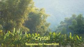  Presentation with banana plant - Colorful presentation enhanced with banana and bamboo trees landscape backdrop and a tawny brown colored foreground