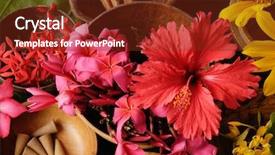  Presentation with spa - Slides consisting of banana blossom - tropical flower spa set-leaf background background and a tawny brown colored foreground