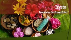  Presentation with tropical - Amazing presentation theme having banana blossom - tropical spa backdrop and a tawny brown colored foreground