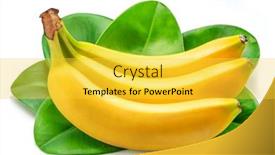 Presentation with green leaves - PPT layouts with banana-bunch-and-green-banana background and a yellow colored foreground