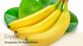  Presentation with green leaves - Presentation theme featuring banana-bunch-and-green-banana background and a yellow colored foreground