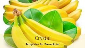  Presentation with green leaves - Slide set consisting of banana-bunches-over-green-banana background and a yellow colored foreground