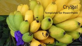  Presentation with banana plant - Presentation theme with woman in santas hat in bikini at tropical beach background and a mint green colored foreground