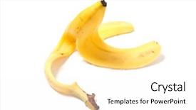  Presentation with plant tissue culture banana - Presentation having banana peel on the ground background and a pink colored foreground