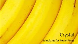  Presentation with banana - Beautiful presentation theme featuring banana backdrop and a gold colored foreground