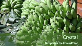  Presentation with hampi - Slide deck featuring bananas after harvest hampi india background and a tawny brown colored foreground