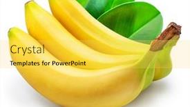  Presentation with green leaves - Slide set consisting of bananas-and-green-banana-leaves background and a yellow colored foreground