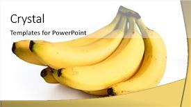  Presentation with banana plant - Amazing slides having bananas on white background backdrop and a white colored foreground