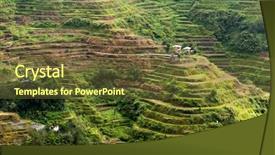  Presentation with rice terraces - Presentation design with ricefield - famous rice fields terraces background and a  colored foreground